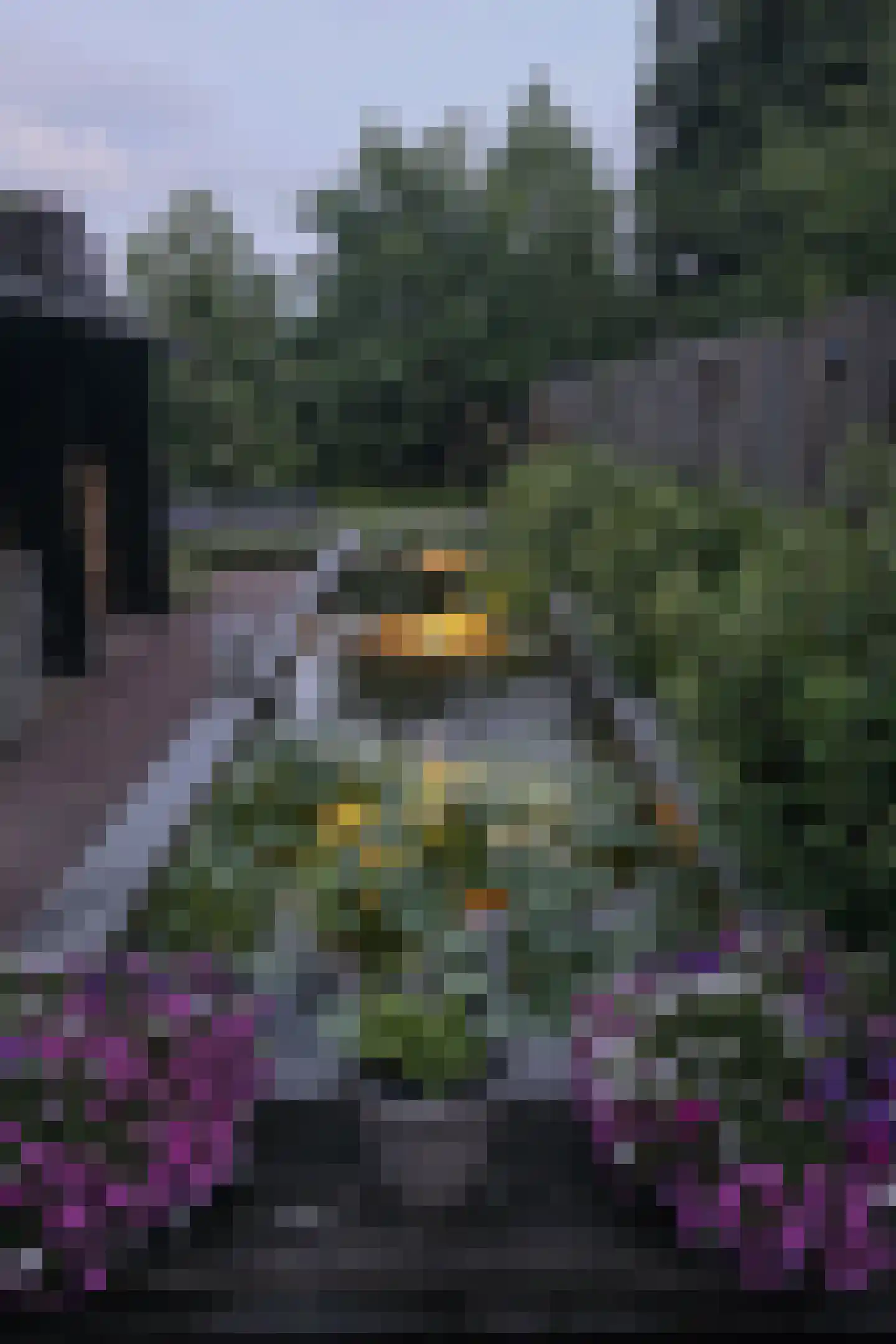 Oude Bestseweg 7 Oirschot thumbnail 63