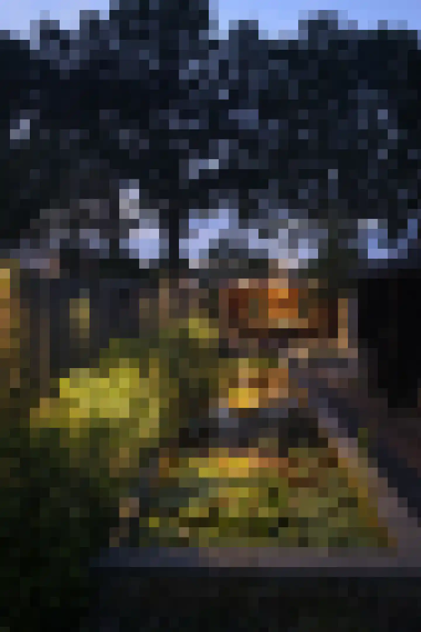 Oude Bestseweg 7 Oirschot thumbnail 64