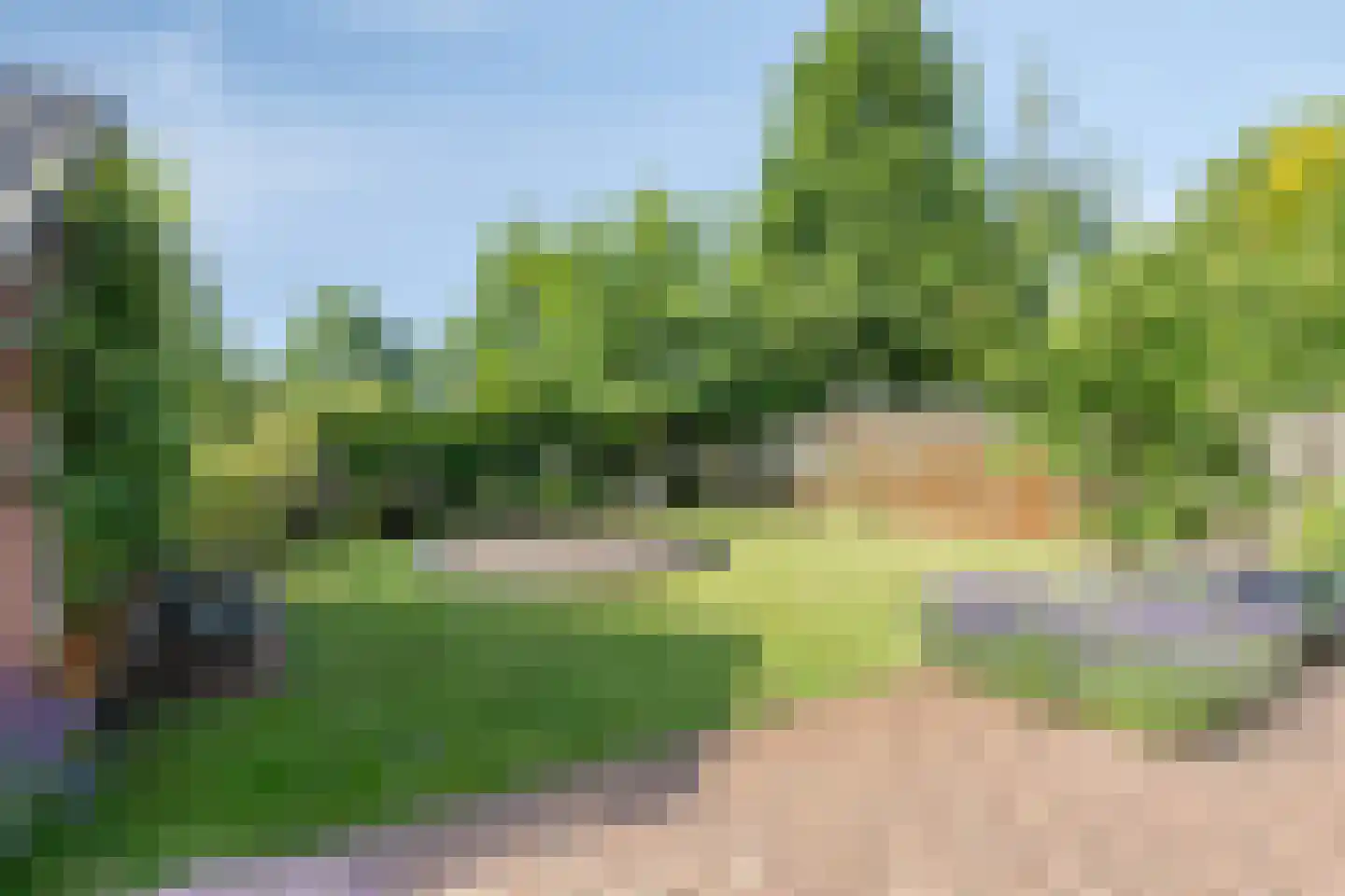 Oude Bestseweg 7 Oirschot thumbnail 66