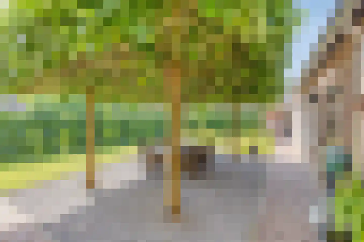 Oude Bestseweg 7 Oirschot thumbnail 68