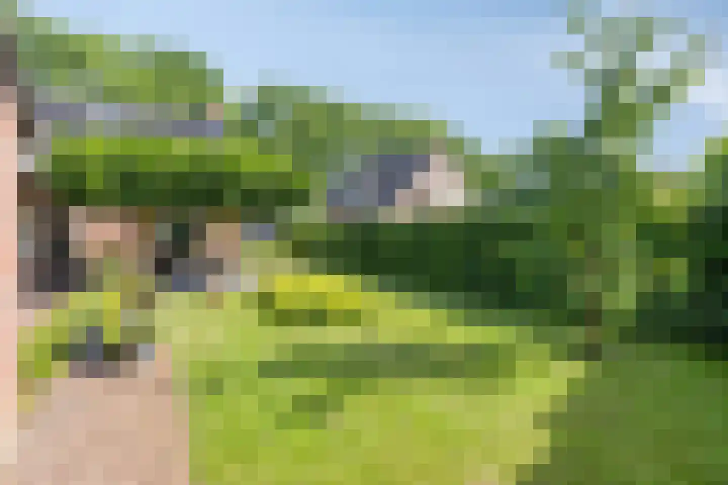 Oude Bestseweg 7 Oirschot thumbnail 69