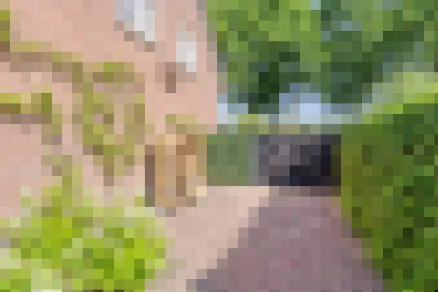 Oude Bestseweg 7 Oirschot thumbnail 71