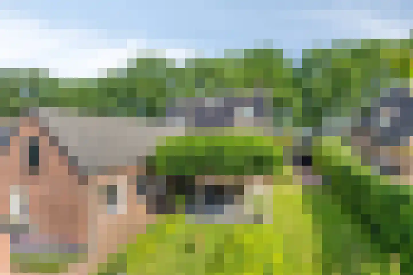 Oude Bestseweg 7 Oirschot thumbnail 72