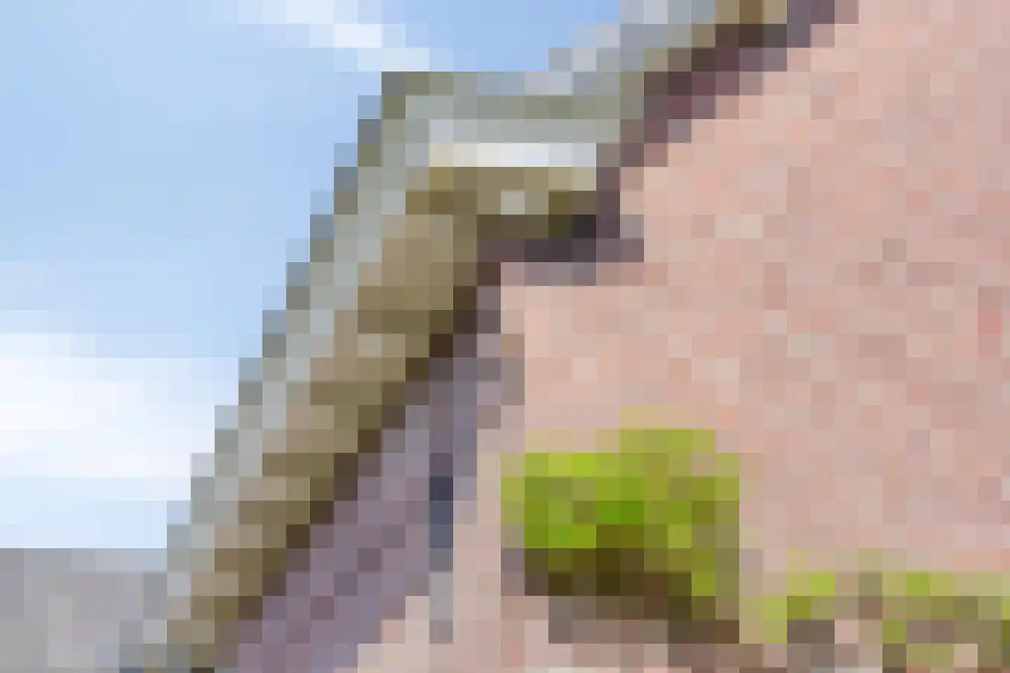 Oude Bestseweg 7 Oirschot thumbnail 75