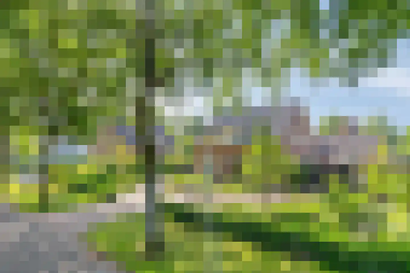 Oude Bestseweg 7 Oirschot thumbnail 76