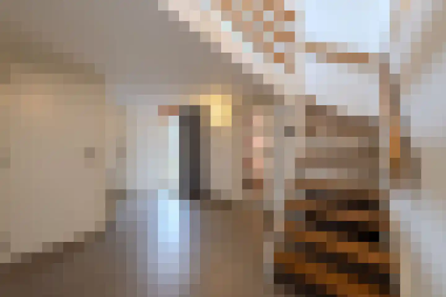 Oude Bestseweg 9 A Oirschot thumbnail 11