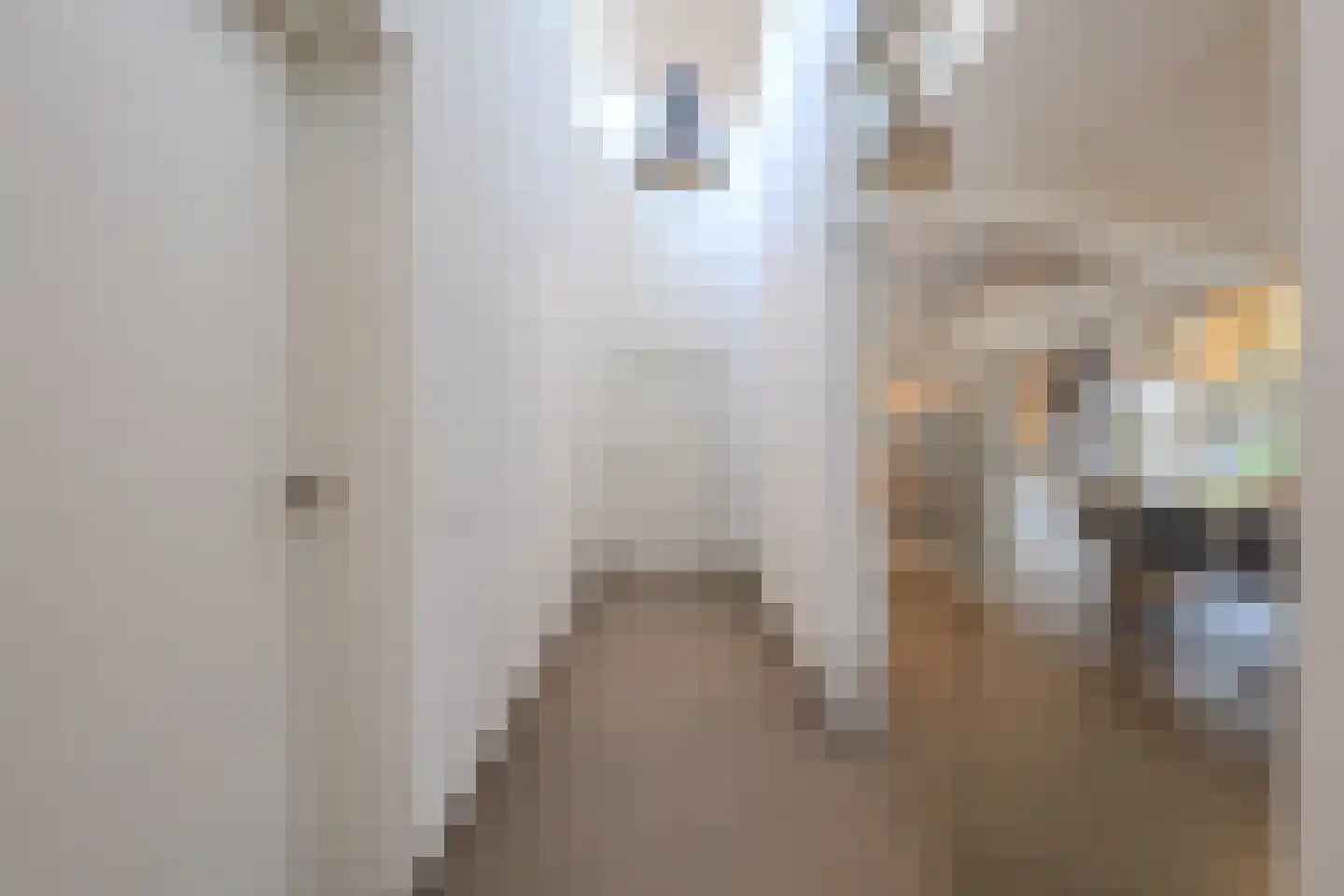 Oude Bestseweg 9 A Oirschot thumbnail 32