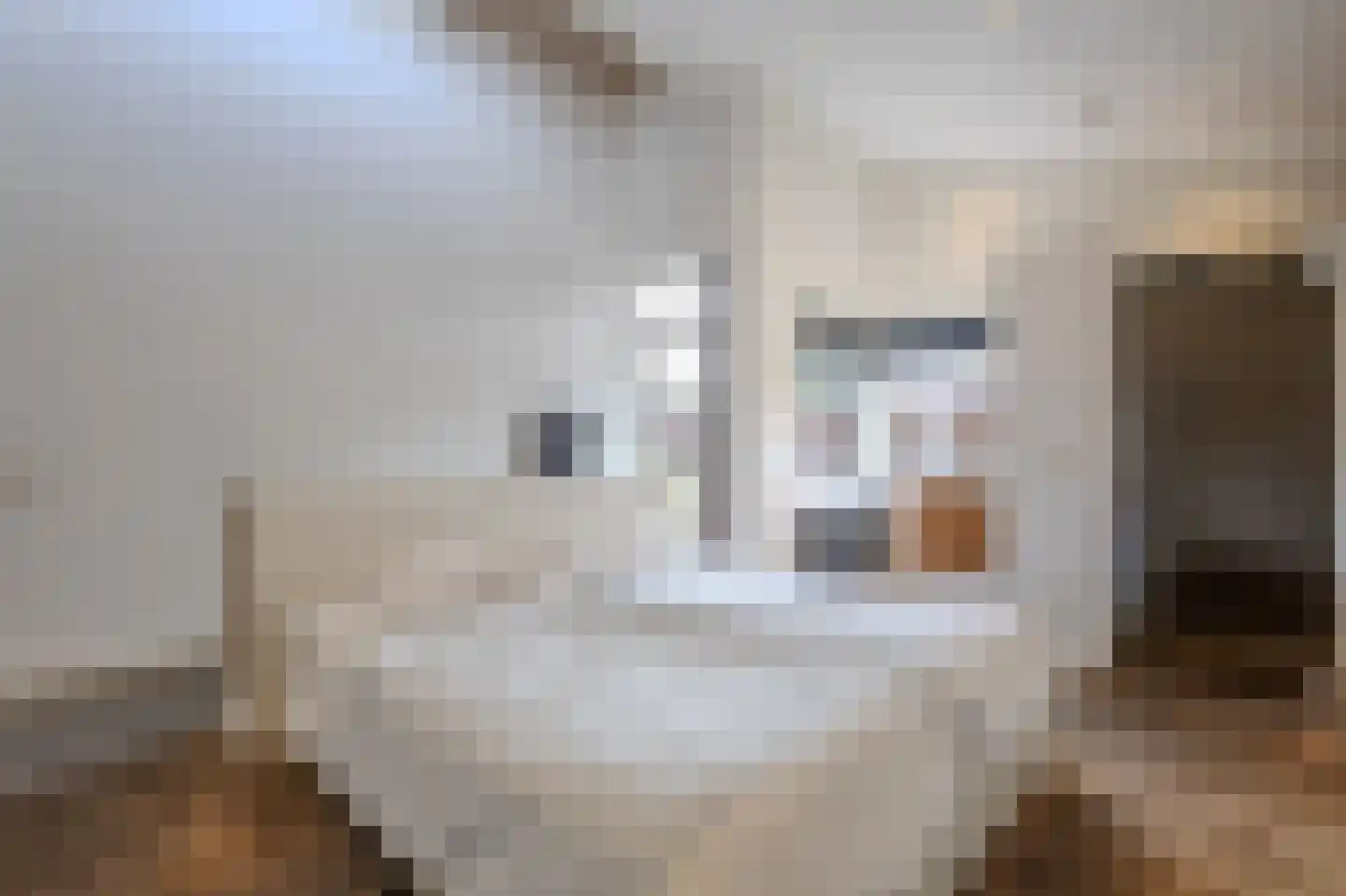 Oude Bestseweg 9 A Oirschot thumbnail 4