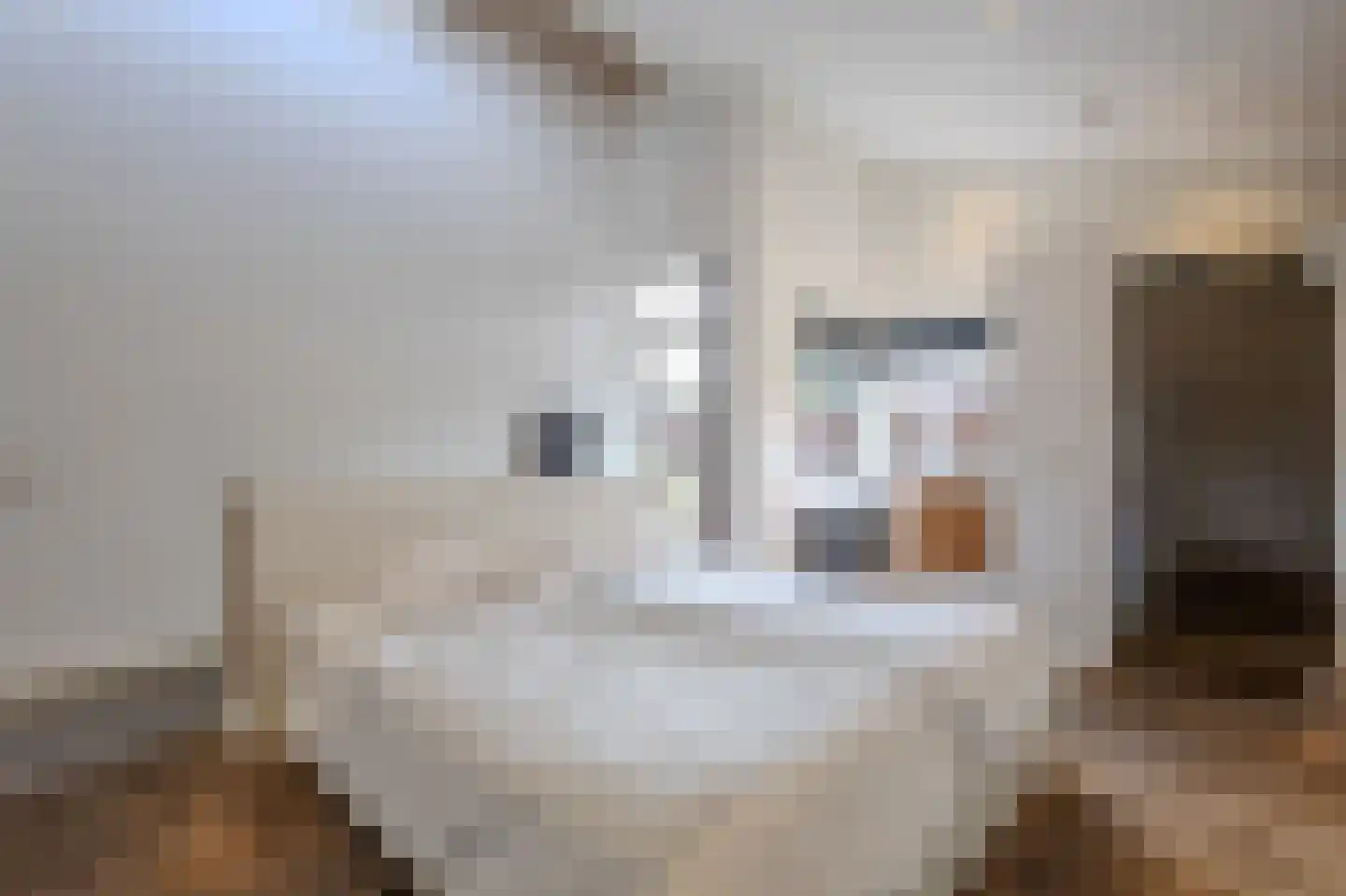 Oude Bestseweg 9 A Oirschot thumbnail 40