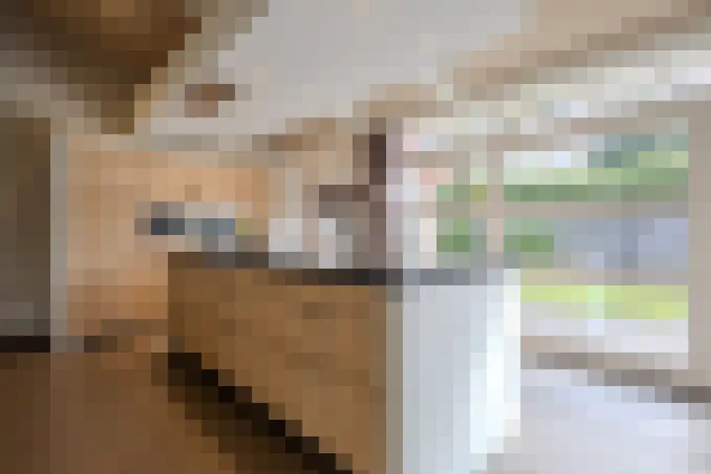 Oude Bestseweg 9 A Oirschot thumbnail 5