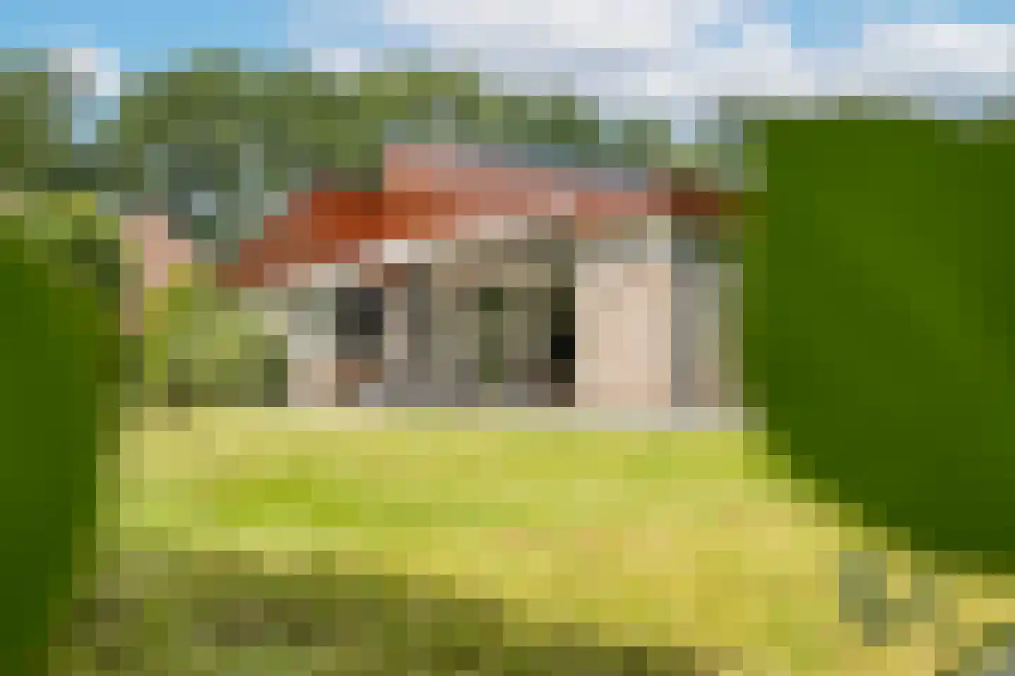 Oude Bestseweg 9 A Oirschot thumbnail 50