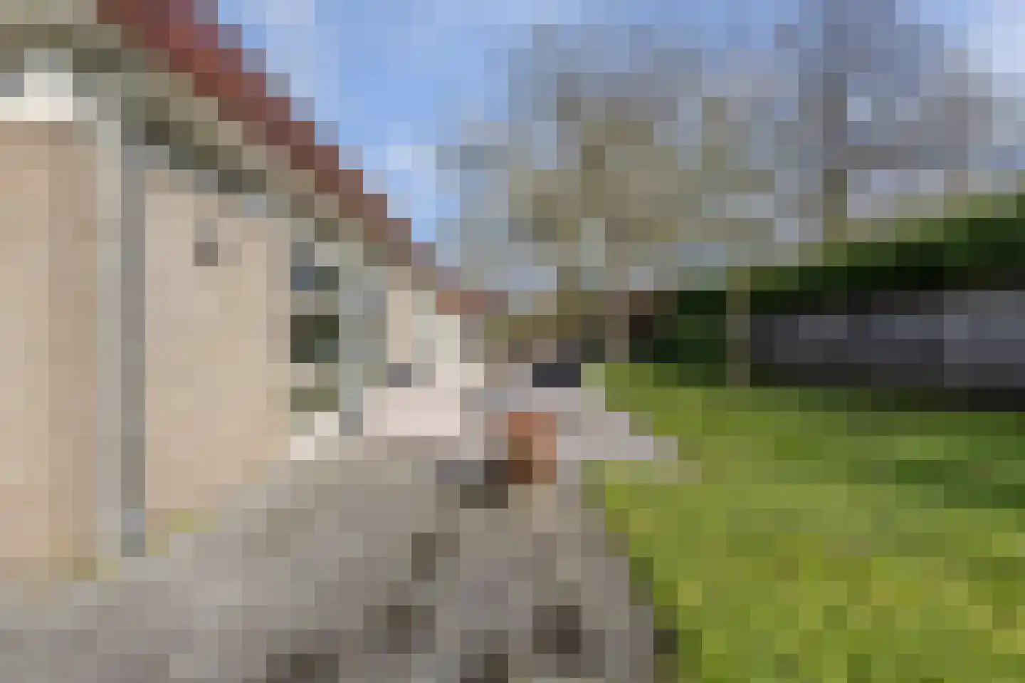 Oude Bestseweg 9 A Oirschot thumbnail 50