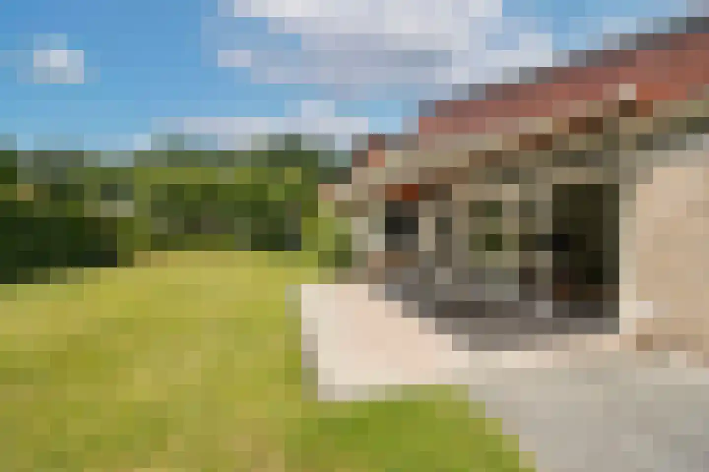 Oude Bestseweg 9 A Oirschot thumbnail 51