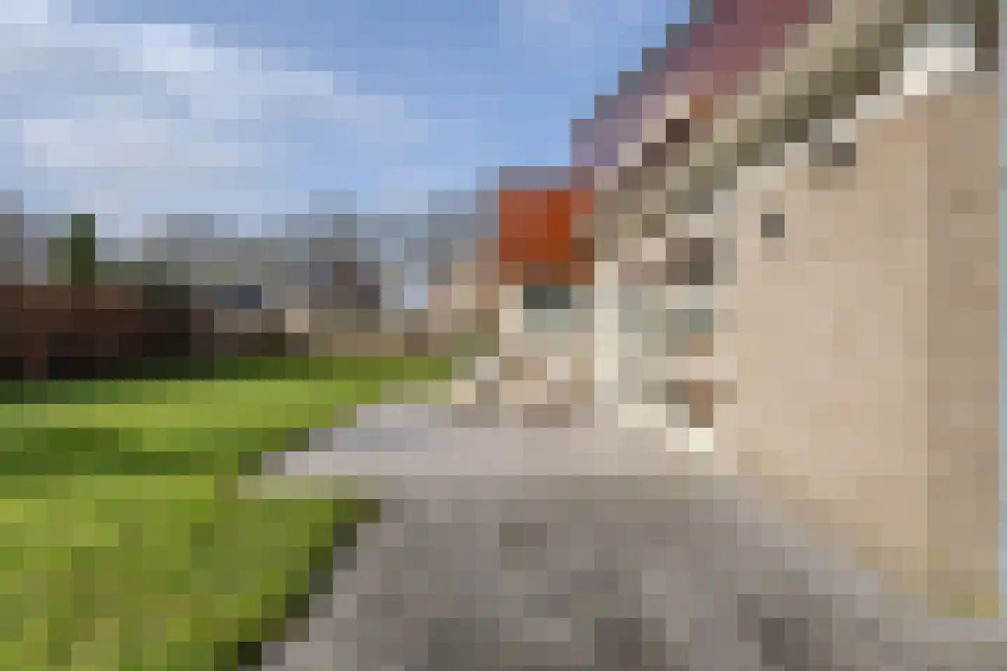 Oude Bestseweg 9 A Oirschot thumbnail 51