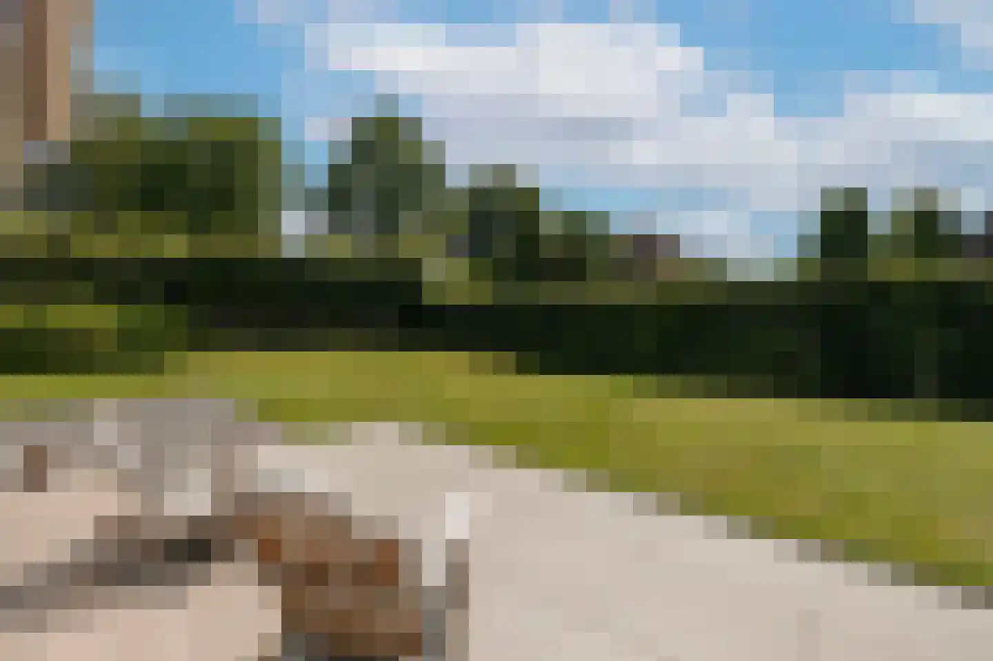 Oude Bestseweg 9 A Oirschot thumbnail 52
