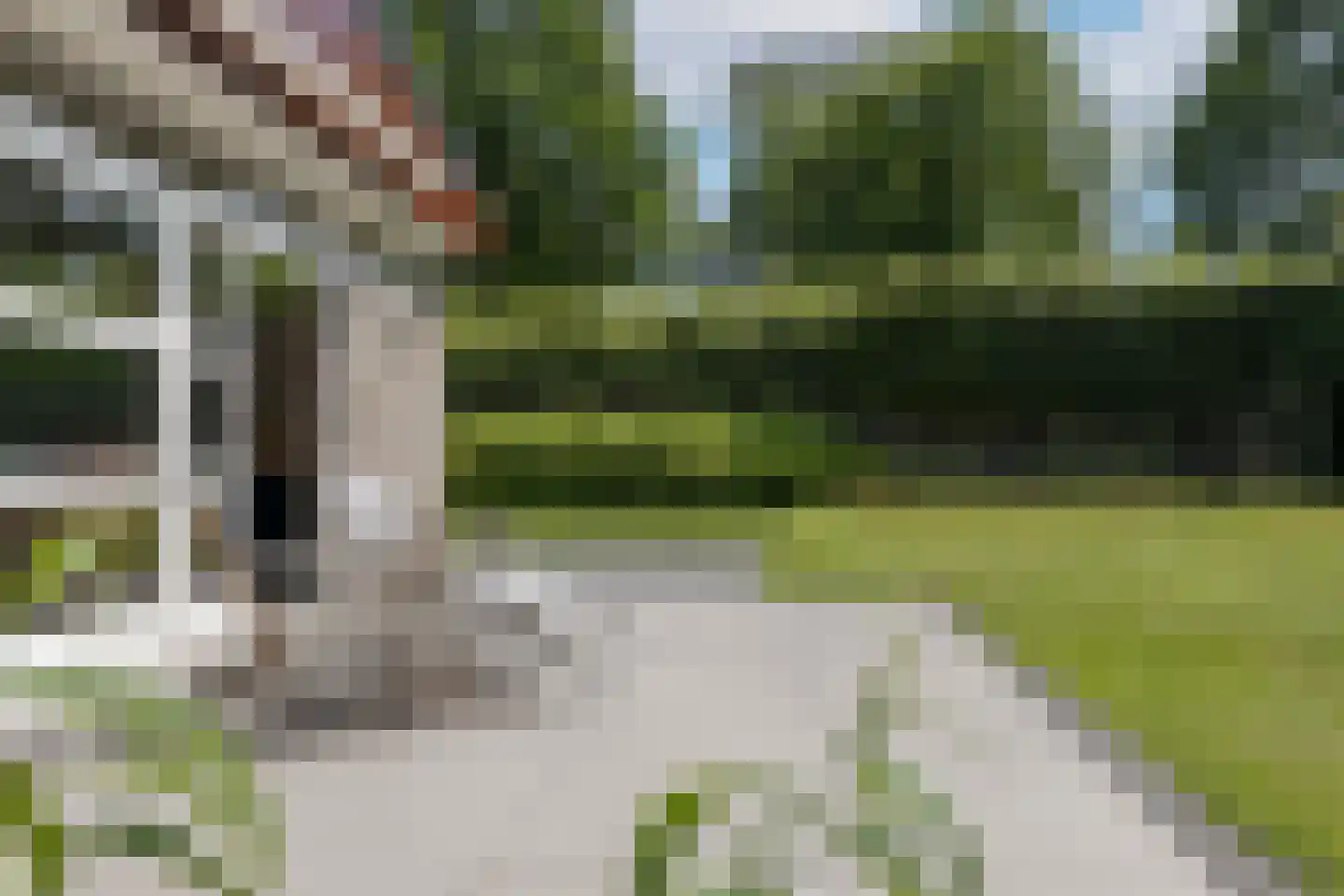 Oude Bestseweg 9 A Oirschot thumbnail 53