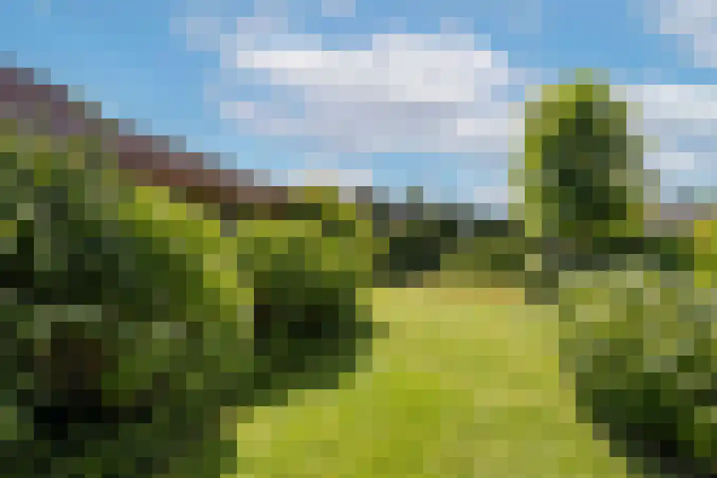 Oude Bestseweg 9 A Oirschot thumbnail 57