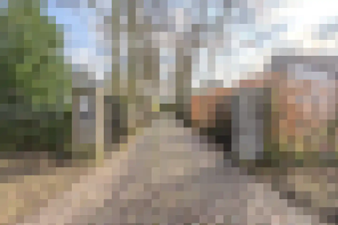 Oude Bestseweg 9 A Oirschot thumbnail 7