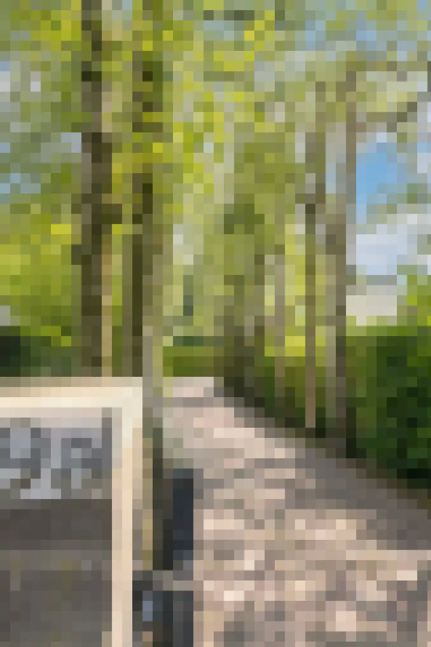 Oude Bestseweg 9 A Oirschot thumbnail 7