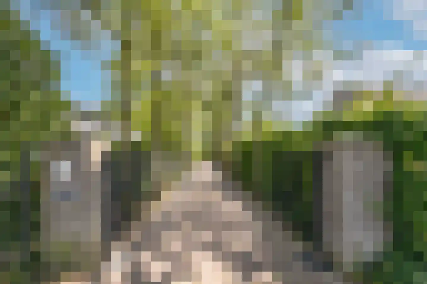 Oude Bestseweg 9 A Oirschot thumbnail 8