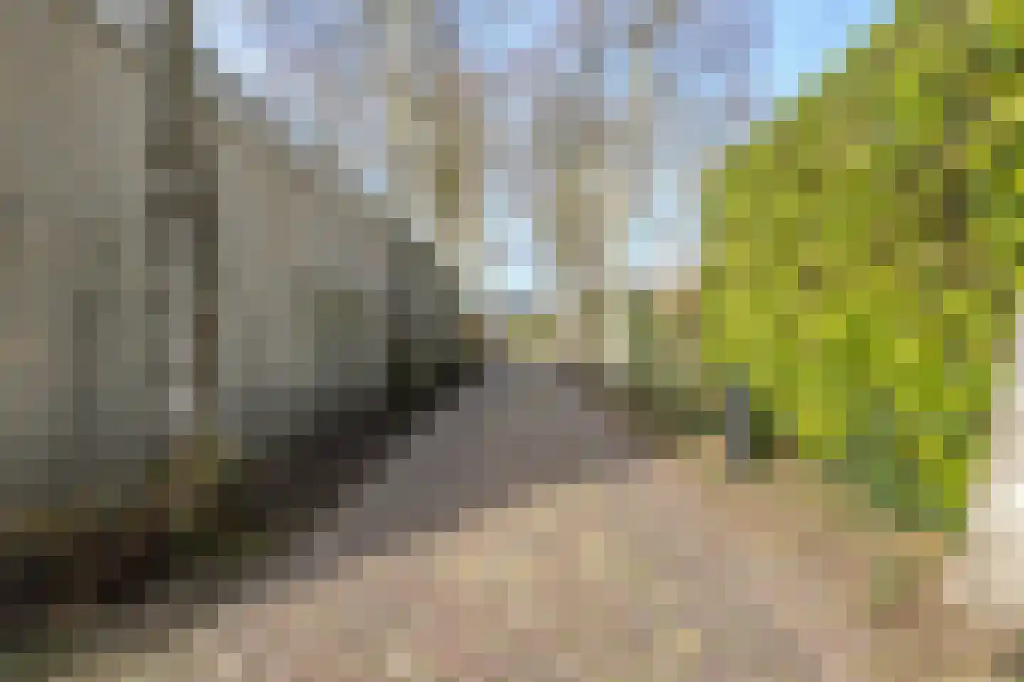 Oude Bestseweg 9 A Oirschot thumbnail 8