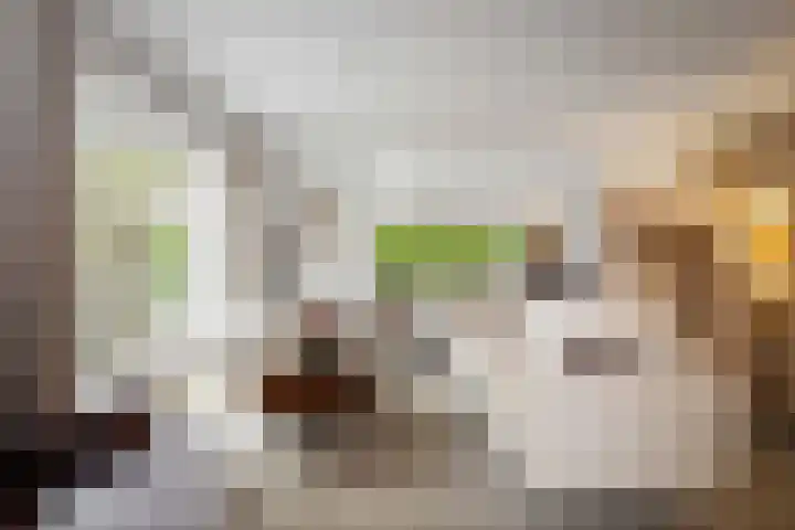 Oude Binnenweg 10 Twello thumbnail 13