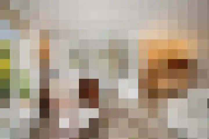 Oude Binnenweg 10 Twello thumbnail 15