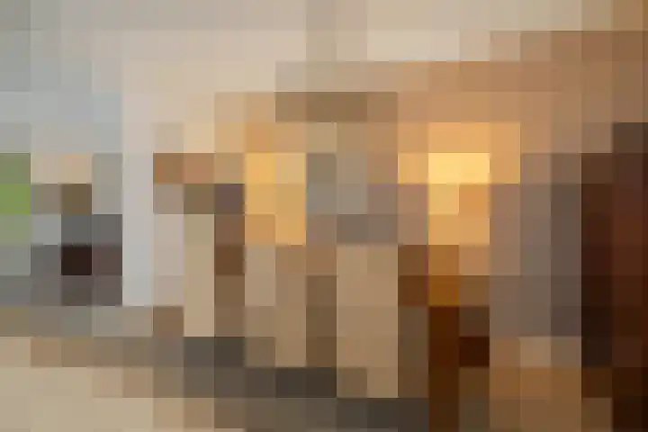 Oude Binnenweg 10 Twello thumbnail 18