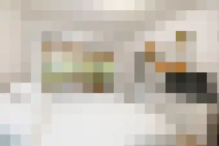 Oude Binnenweg 10 Twello thumbnail 24