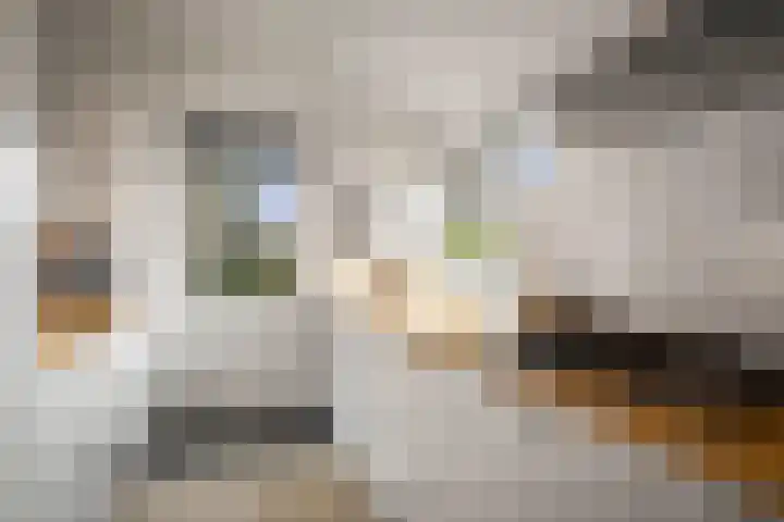 Oude Binnenweg 10 Twello thumbnail 28