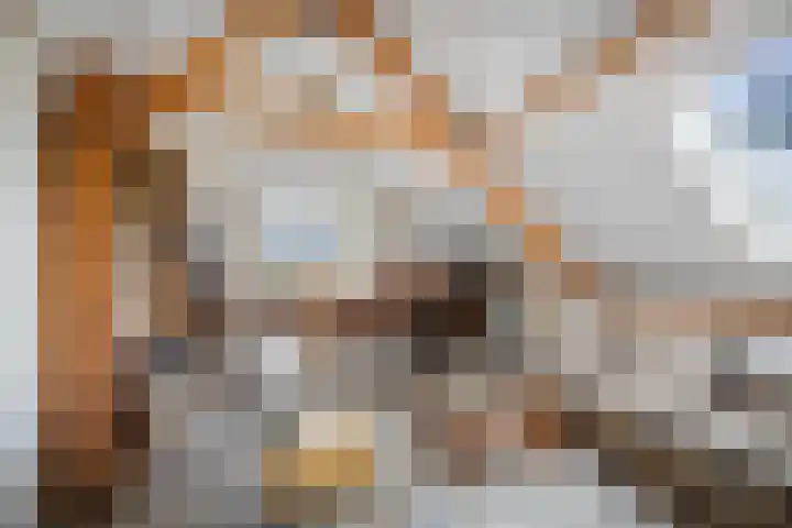 Oude Binnenweg 10 Twello thumbnail 37