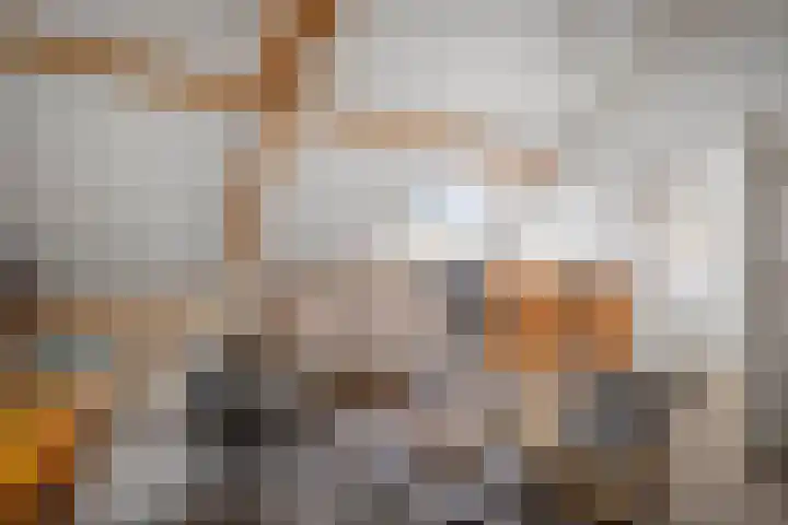 Oude Binnenweg 10 Twello thumbnail 38