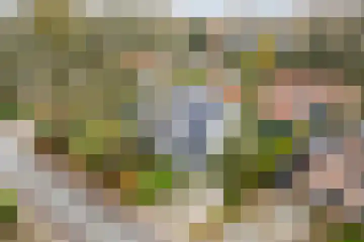 Oude Binnenweg 10 Twello thumbnail 4