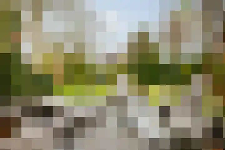 Oude Binnenweg 10 Twello thumbnail 44