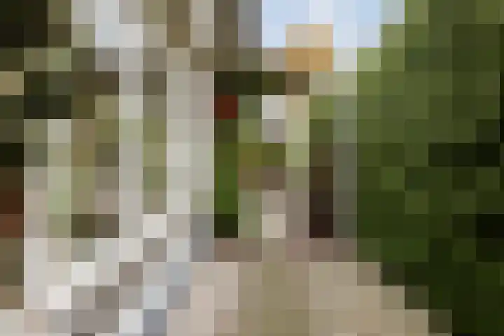 Oude Binnenweg 10 Twello thumbnail 46