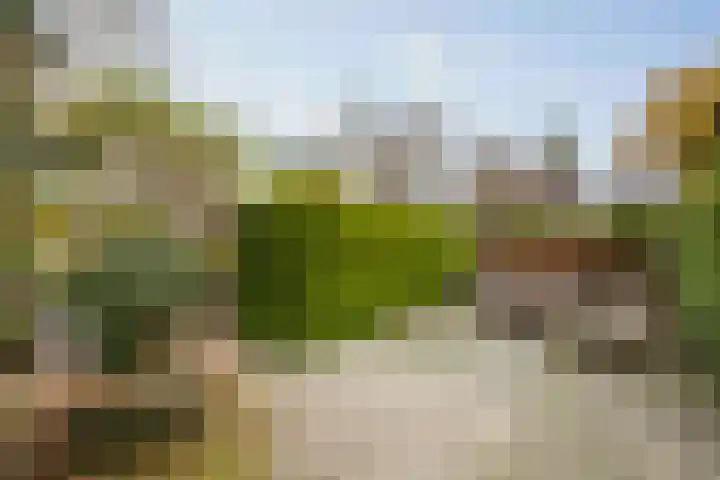 Oude Binnenweg 10 Twello thumbnail 48