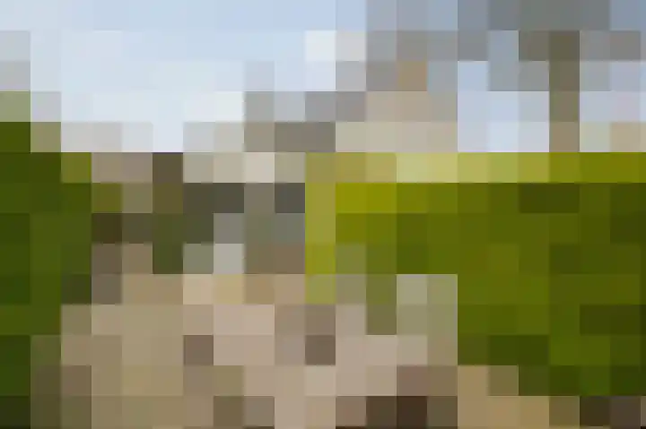 Oude Binnenweg 10 Twello thumbnail 49