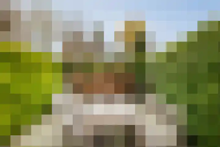 Oude Binnenweg 10 Twello thumbnail 50