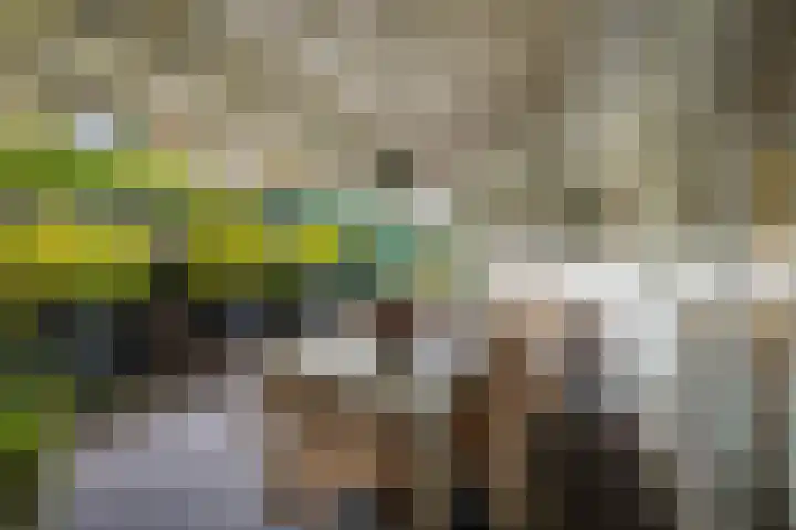 Oude Binnenweg 10 Twello thumbnail 51