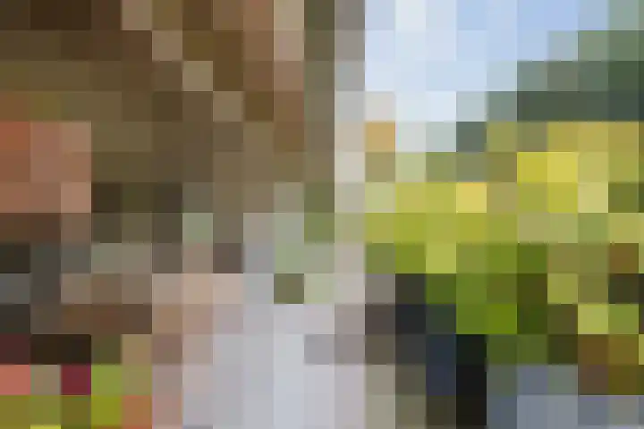 Oude Binnenweg 10 Twello thumbnail 52