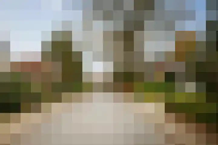 Oude Binnenweg 10 Twello thumbnail 53
