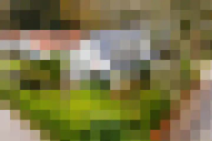 Oude Binnenweg 10 Twello thumbnail 54