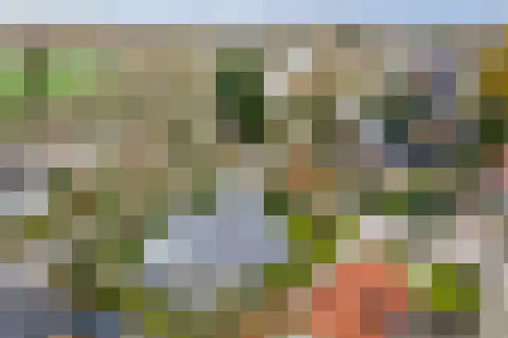 Oude Binnenweg 10 Twello thumbnail 57