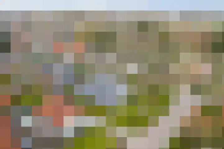 Oude Binnenweg 10 Twello thumbnail 58