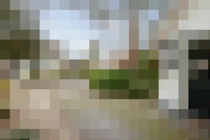 Oude Binnenweg 10 Twello thumbnail 6