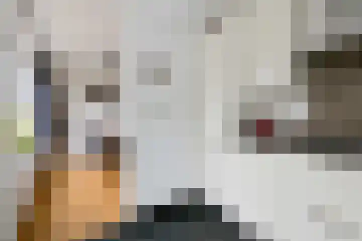 Oude Binnenweg 19 A Twello thumbnail 12