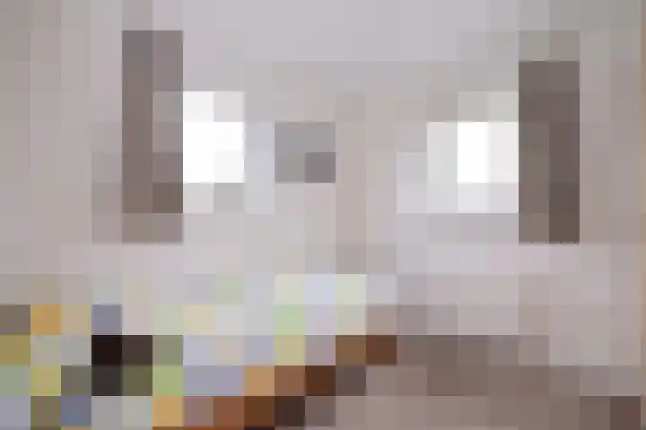 Oude Binnenweg 19 A Twello thumbnail 22