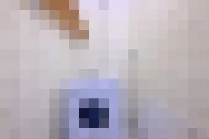Oude Binnenweg 19 A Twello thumbnail 28