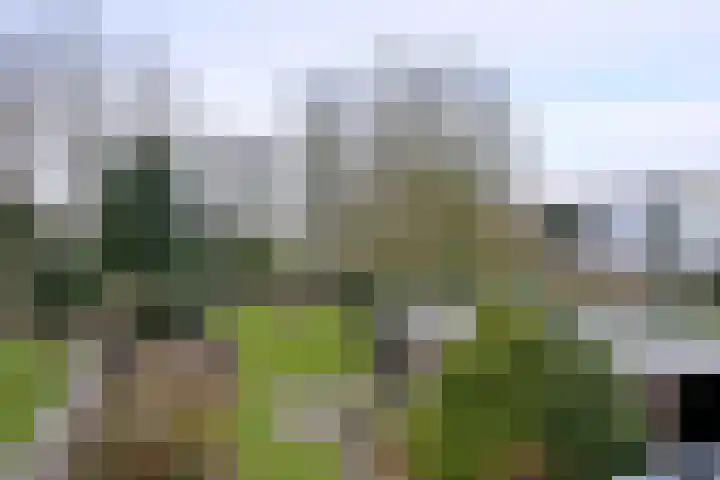 Oude Binnenweg 19 A Twello thumbnail 29