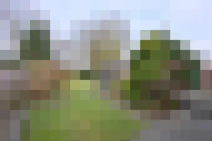 Oude Binnenweg 19 A Twello thumbnail 30
